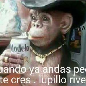 Meet your Posher, Salvador